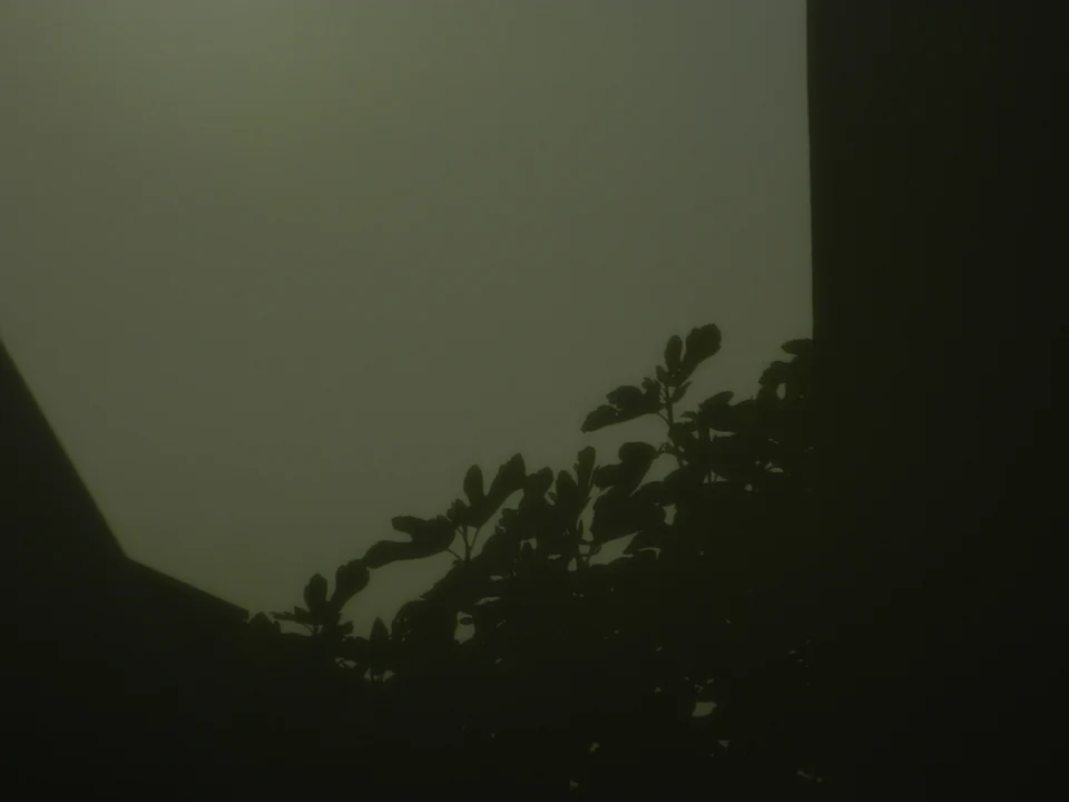 Heart Is a Werewolf 22