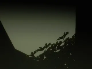 Heart Is a Werewolf 45