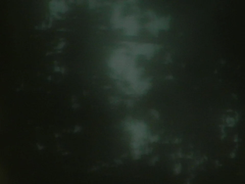 Heart Is a Werewolf 53