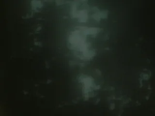 Heart Is a Werewolf 53