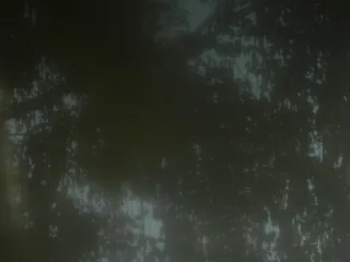Heart Is a Werewolf 55