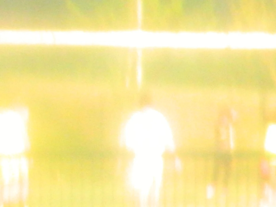 Players 09