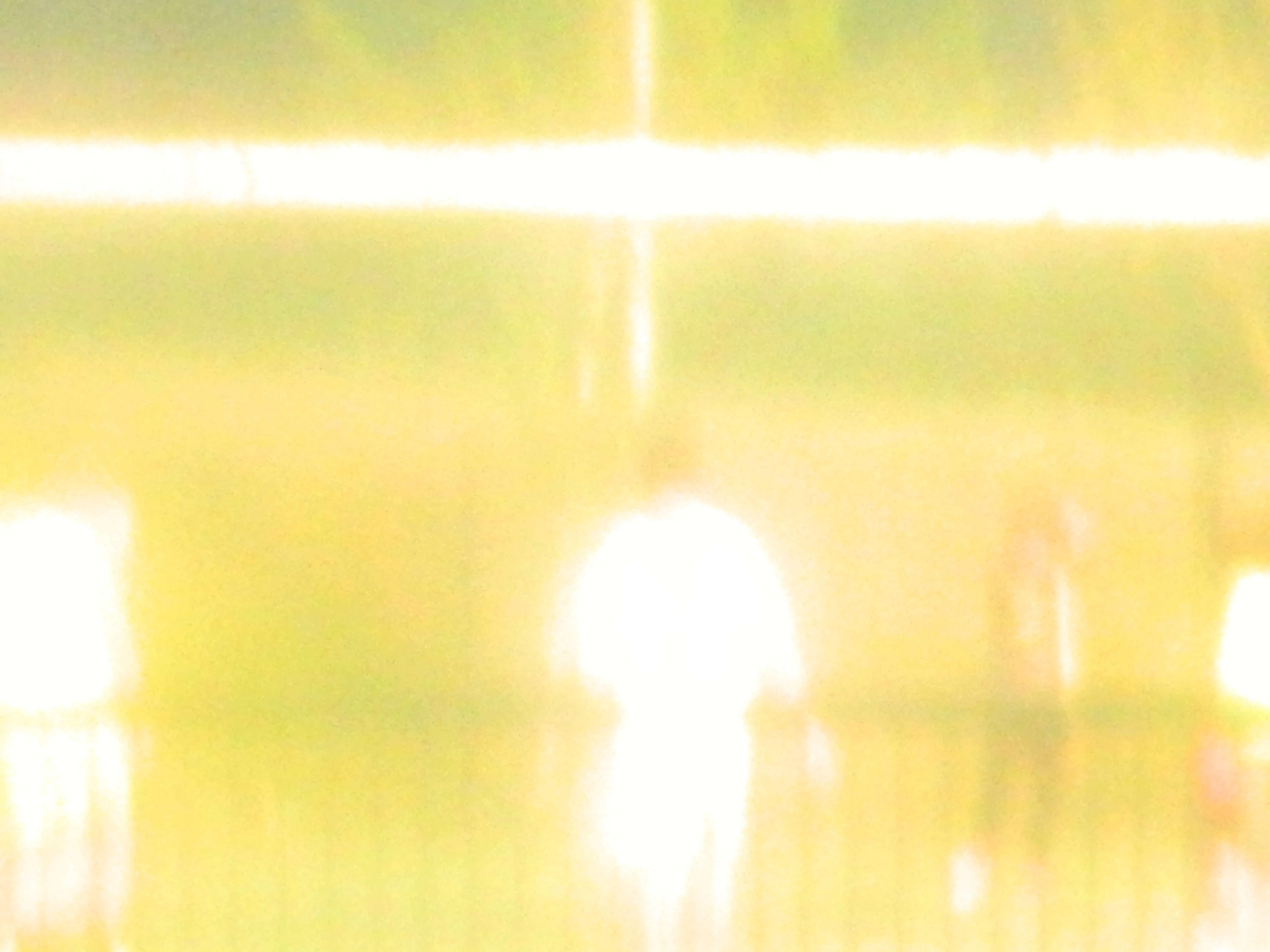 Players 09