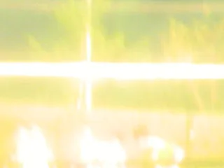 Players 10